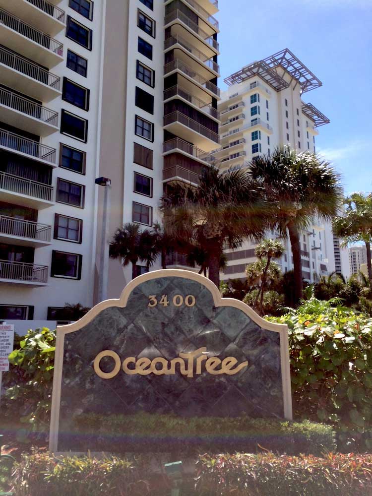 Oceantree2-pp